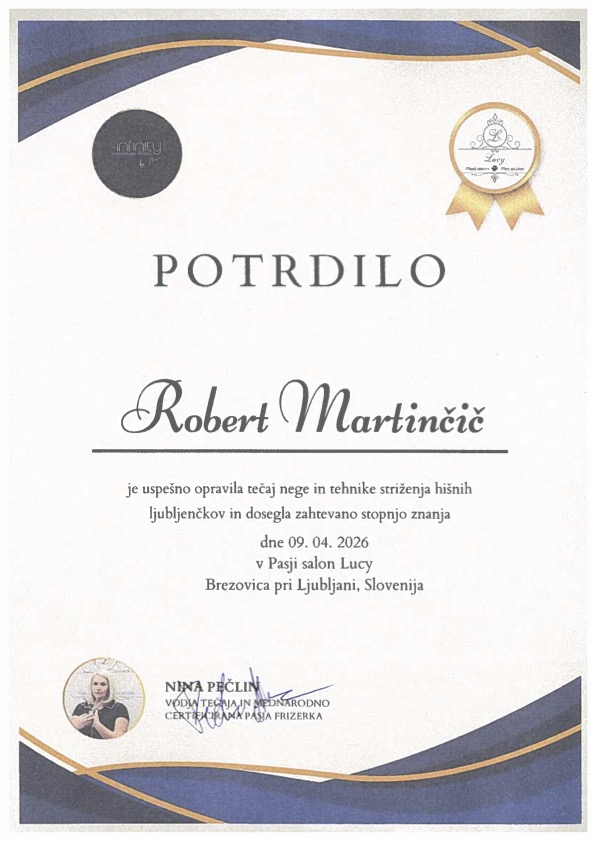 Diploma